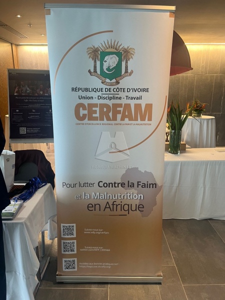 Hongjia_Grain_Machinery_participate_in_the_Africa_CERFAM_Rice_Processing_Future_Development_Ceremony (8)