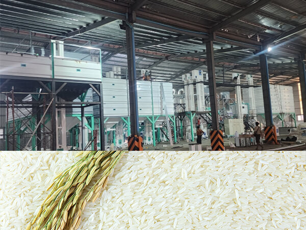 150ton_per_day_Rice_Milling_Line_Successfully_Installed_in_Myanmar 4